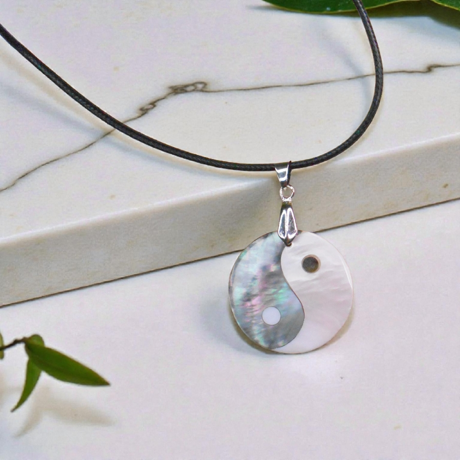 1000009433_edited (1) (1)