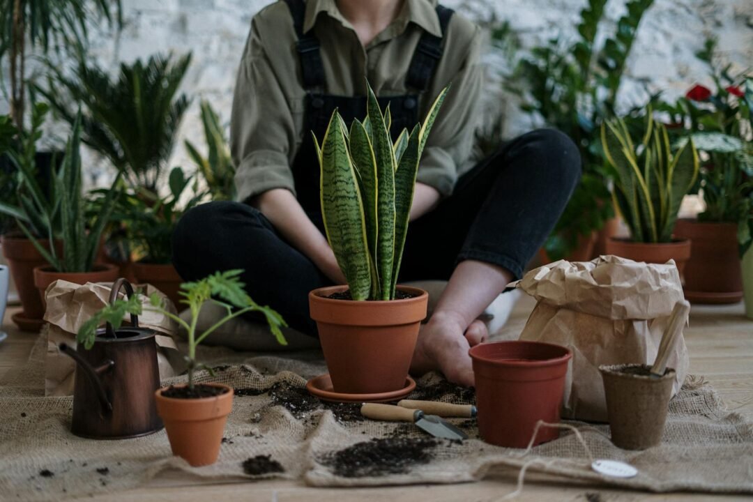 Cómo hacer un repelente ecológico casero para plantas con jabón de Marsella y eucalipto 1 Person sitting indoors surrounded by potted plants and gardening tools, fostering nature