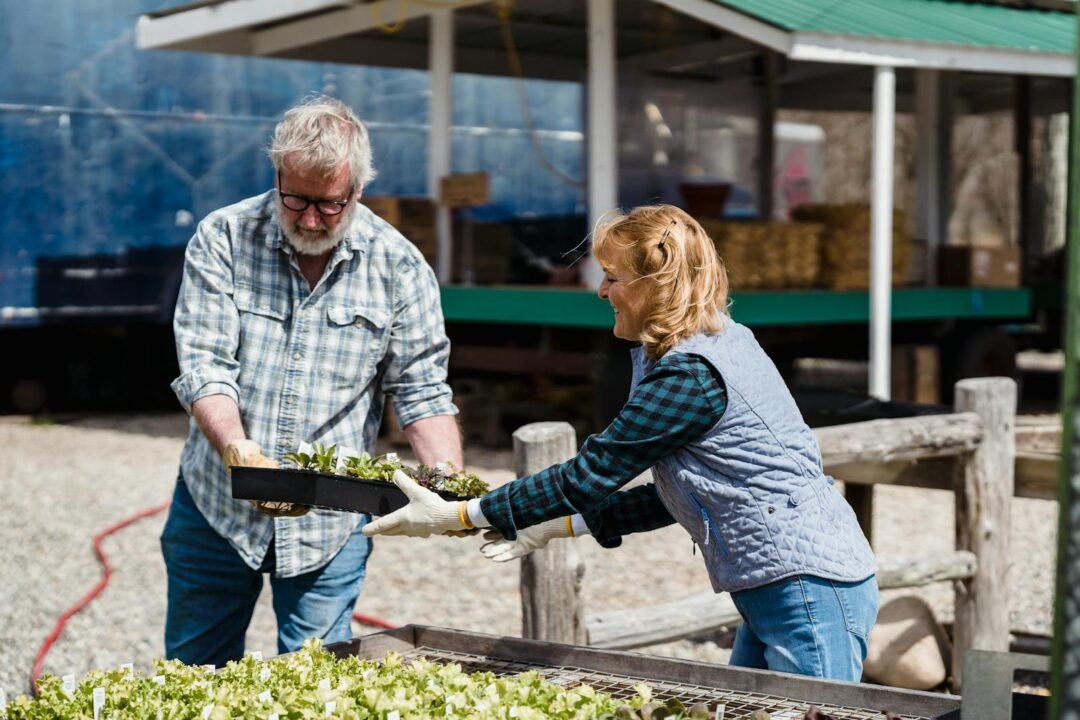 El lado oscuro de los aceites esenciales. Por qué elegir opciones 100% sostenibles 3 Couple of farmers in checked shirts and gloves carrying pots with green plants and helping each other in countryside on sunny day