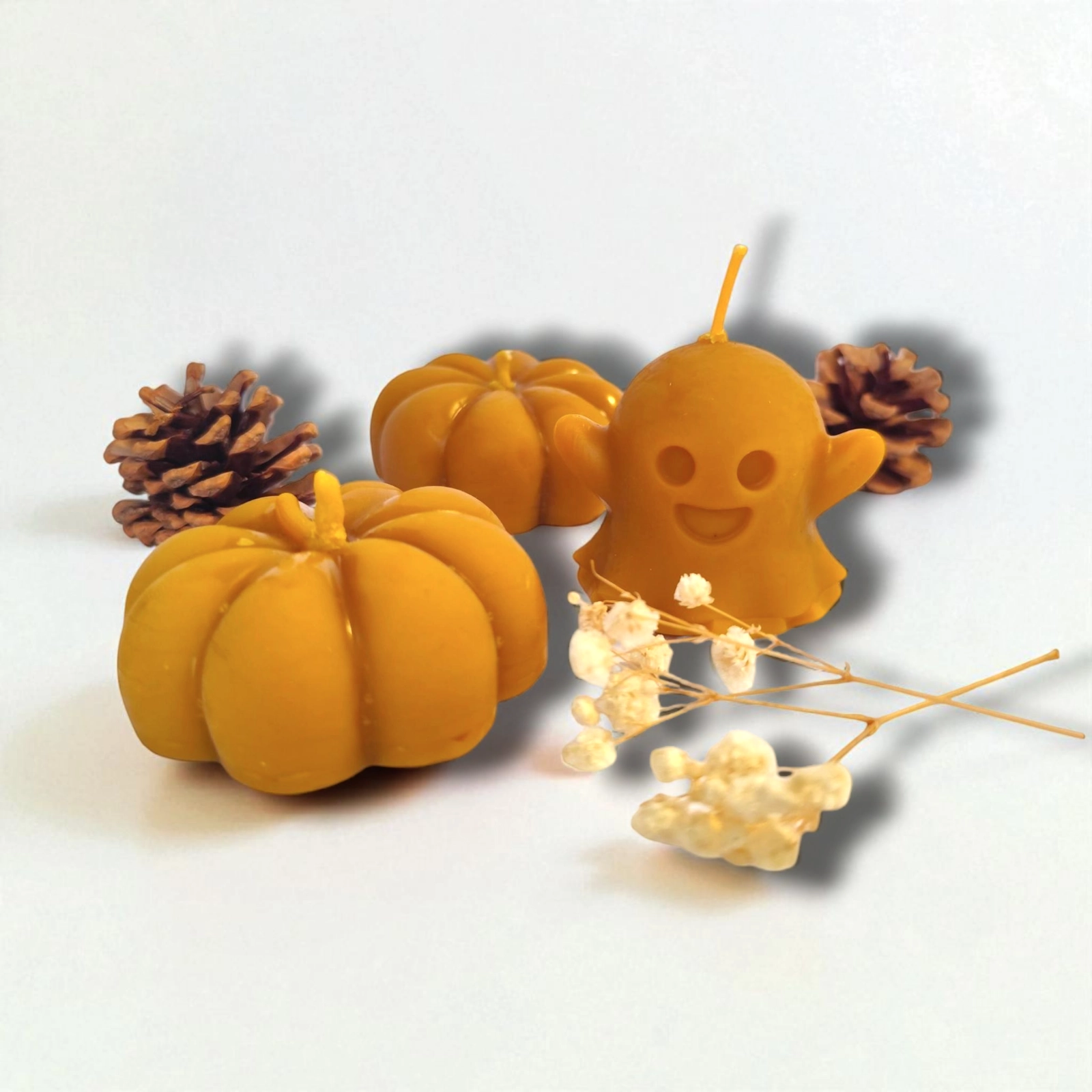 IMG_20250924_104859 (1)