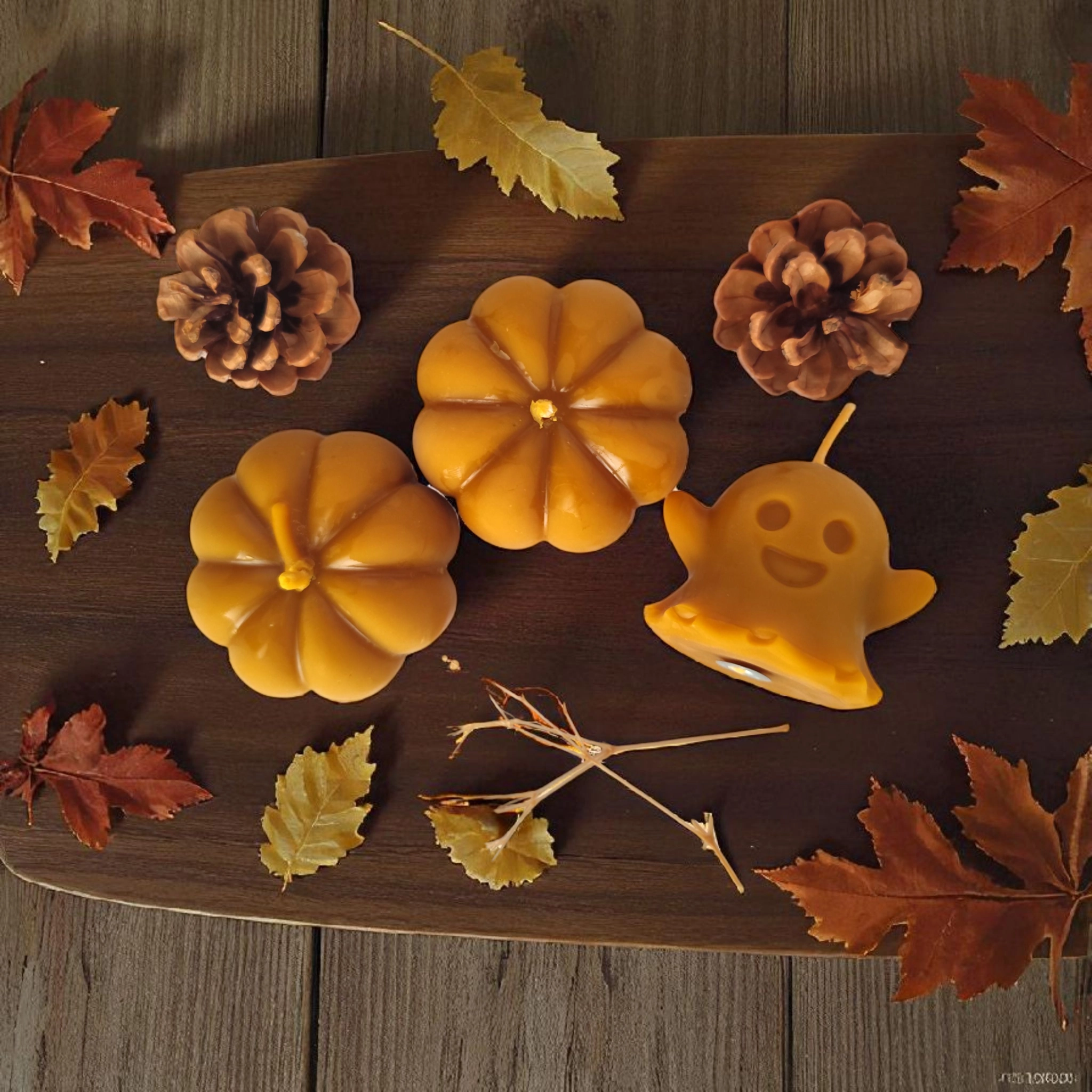 IMG_20250924_150703 (1)